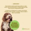 Calmantes Pet Naturals Para Perros Mb Y Lb (21 Pzs/bolsa)