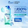 Head and Shoulders 72H Oil Control + Anti-Dandruff Shampoo 300g