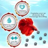 JOR Betta Balls, Water Conditioner Gray Beads for Crystal Clear