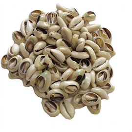 100 Pcs Lvory Natural Cowrie Shells Beads Oval Beach Seashells African Shells for Hair Jewelry Making DIY Craft Beads and Beading and Jewelry Making