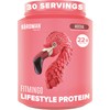 BIRDMAN Fitmingo Vegan Protein Powder with Inositol, Collagen Boosters, Hyaluronic