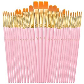 OWill 30 PCS Paint Brush Set, Nylon Professional Artist Paint Brushes for Acrylic Painting, Oil Painting, Watercolor Painting,Face Painting, Small Acrylic Paint Brushes for Artists, Adults, Kids(Pink)