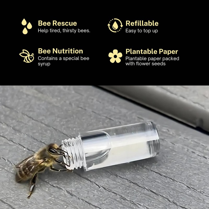 Revive a Bee Gold Bee Revival Kit A Keyring with