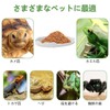 PAVIKE Reptile Water Dish for Reptile Feeding Dish Amphibian Drinking