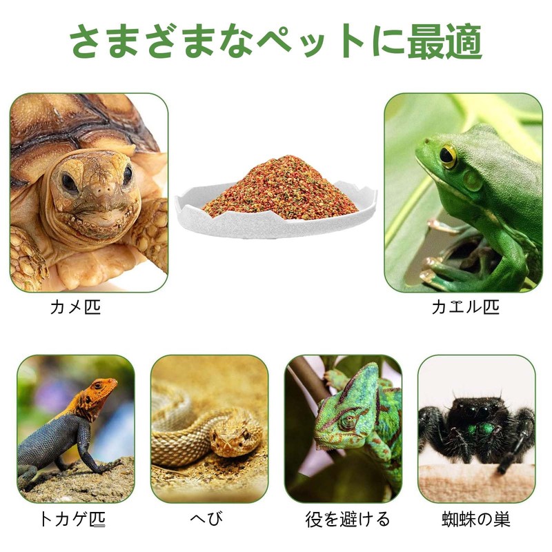 PAVIKE Reptile Water Dish for Reptile Feeding Dish Amphibian Drinking