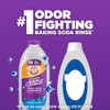 ARM & HAMMER Odor Blasters Deep Rinse and Revitalize Fabric
