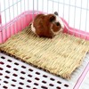 CVFRTT 4 Pieces Of Small Straw Mats, Woven Pet Straw