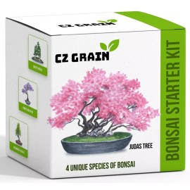 CZ Grain Bonsai Tree Kit - Grow 4 Types of Bonsai Tree from Seed - Highly Desired Species