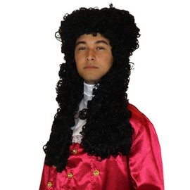 HPO Adult Men's 18th Century Judge Colonial Nobleman Wig, Black Color, Retro Historical Characters