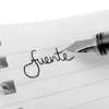 ZEBRA Fuente - Disposable Fountain Pen - Black Ink -