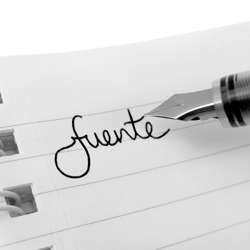 ZEBRA Fuente - Disposable Fountain Pen - Black Ink -