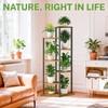 iDavosic.ly 6 Tier Wooden Plant Stand Indoor, 49 Inch Tall,