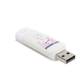 U Disk Slide Cover Type USB2.0 Interface Pen Driver Data Transmission Storage Device(Slide Cover HAPPY EVERYDAY 64GB)