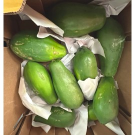 RamaThai Fresh Green Papaya + Thai Fermented Fish Sauce