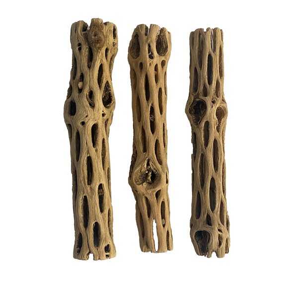 Awesome Aquatic Natural Cholla/Choya Wood 3 Pieces 6” for Shrimp Habitat and Food Treat Hermit Crabs Plecos Aquarium Decoration Lowers pH Hideouts and Chew Toys Reptiles Thorn Free Dried Organic