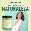 Commons Adaptógenos Amla Extracto Puro Polvo 100 Suplemento Natural Tónico
