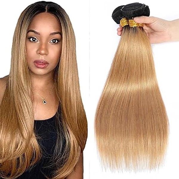 AiPliantfis 1b/27 Straight Brazilian Human Hair Bundles Extensions Real Hair