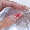 Rose Jungle Wedding Handmade Nail Tips - Stiletto / 장미