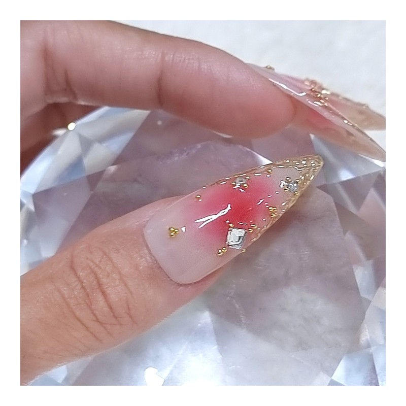 Rose Jungle Wedding Handmade Nail Tips - Stiletto / 장미