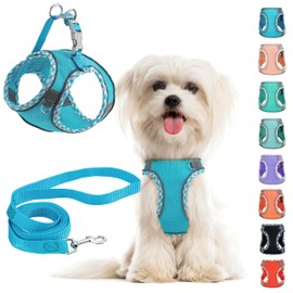 Small Dog Harness and Leash Set, No Pull Adjustable Reflective Breathable Mesh Step in Dog Harness Easy Walk Dog Harness for Extra Small/Small Medium Dog Cats Puppy Outdoor Hiking Training (Blue XXS)