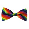 Gay Pride Rainbow Unisex Bow Tie