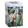 Rainforest Light Square Tea Coffee Caddy 150g