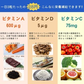 肝油 ビタミン グミサプリ 肝油マーブル（310g） オレンジ味 パイン味