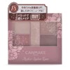 Canmake Perfect Stylist Eyes v18, Eyeshadow 18, Bitter Sweet Memory,