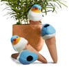YFDB Bird Shaped Plant Watering Globes(Bule 4ps) Plants Suitable for