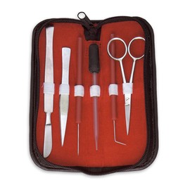 Anatomy Lab Sheep Brain Dissection Kit with Scalpel Dissection Guide and Dissection Specimen for Biology College Anatomy
