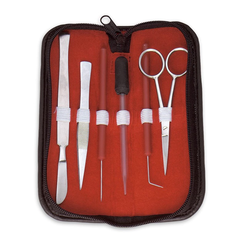 Anatomy Lab Sheep Brain Dissection Kit with Scalpel Dissection Guide