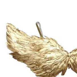 rockible Angel Wing Kids Decorative Wing Cosplay Decor Lightweight Dress up Cute Photo Props for Boys Girls Devil Wing Feather Wing, Gold