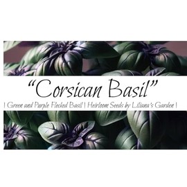 “Corsican” Basil Seeds – Distinct Deep Purple Basil with Flecks of Green and Strong Scent | Ocimum basilicum | Always Heirloom and Open-Pollinated | USA Grown Seeds by Liliana's Garden |