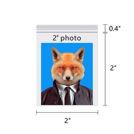 Small Zipper Bags for Jewelry 2 x 2" 500pcs Tiny Clear Plastic Poly Bags Resealable Thick Strong Zipper Baggies with Resealable Lock Seal Zipper for Beads Rings Earrings Coins 7 Sizes to Choose from