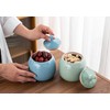 Amoysanli Kitchen Canisters Vintage Ceramic Food Storage Jar with Airtight