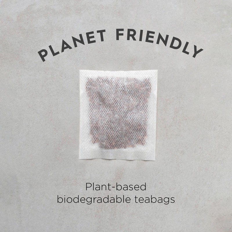 Dragonfly Tea Organic Cape Chai Rooibos, 4x40 teabags