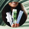 L. Organic Cotton Tampons Multipack, Regular/Super Absorbency, Free From Chlorine