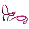 PetSafe Easy Walk Harness, No-Pull Walking Harness for Dogs, Adjustable