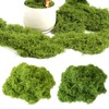 MaNeaz 60 g Moss for Crafts Artificial Moss Moss Craft