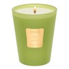 M&SENSE Basil Ginger Scented Natural Soy Wax Candle, 14.1oz 60