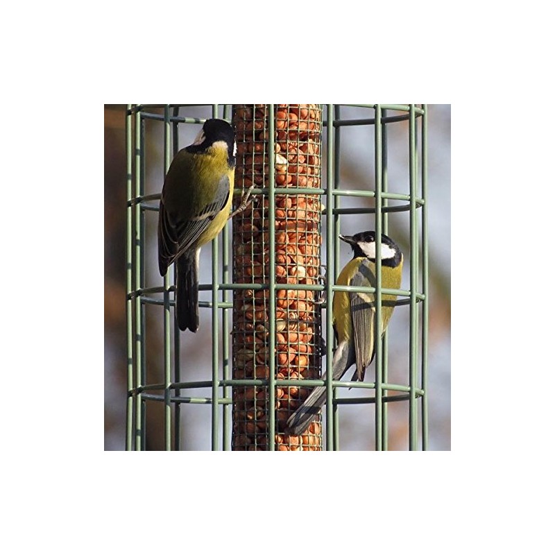 The Nuttery ORGN03 Original Nut Squirrel Proof Bird Feeder, Ocean
