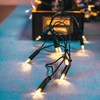hellum 832075 20-Bulb Mini Fairy Lights, Indoor Power-Operated Multi-Coloured Lights