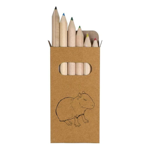 6 x 'Sleepy Capybara' Short 85mm Pencils/Coloured Pencil Set (PE00063650)