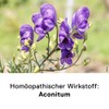 DHU Aconitum C30 Streukügelchen, 10 g Globules