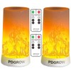 PDGROW LED Flame Lights with Remote Timer, Flame Lamp 4