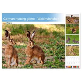 German hunting game - Waidmannsheil (Monthly Wall Calendar 2025 11.7" x 16.5" (open)), CALVENDO 14 Month Calendar