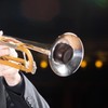 Flugelhorn Mute - Alt/Teutoposaune with Semi-Closed Mute - ABS Accessories