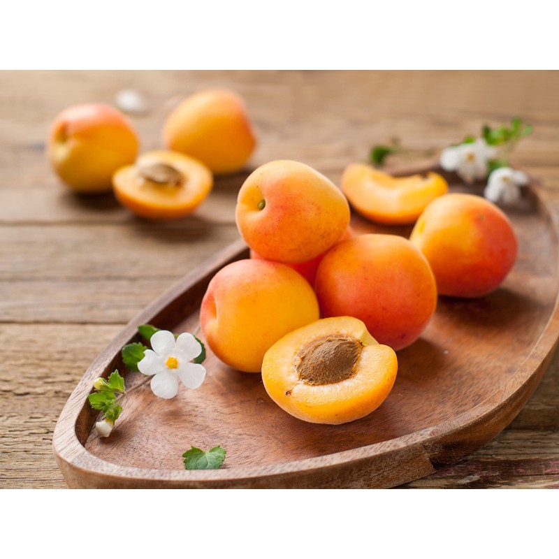 Ladybug Spot Luxury Solid Cologne 5 Scent Sample Set (FRUIT