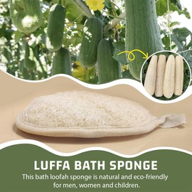 2 Stück Luffa Schwamm Körper, Natürlicher Luffa Schwamm Peeling Körper Wäscher, Luffa Schwamm für Gesicht & Körper, Wiederverwendbarer Duschschwamm Körper, Loofah Duschbürste
