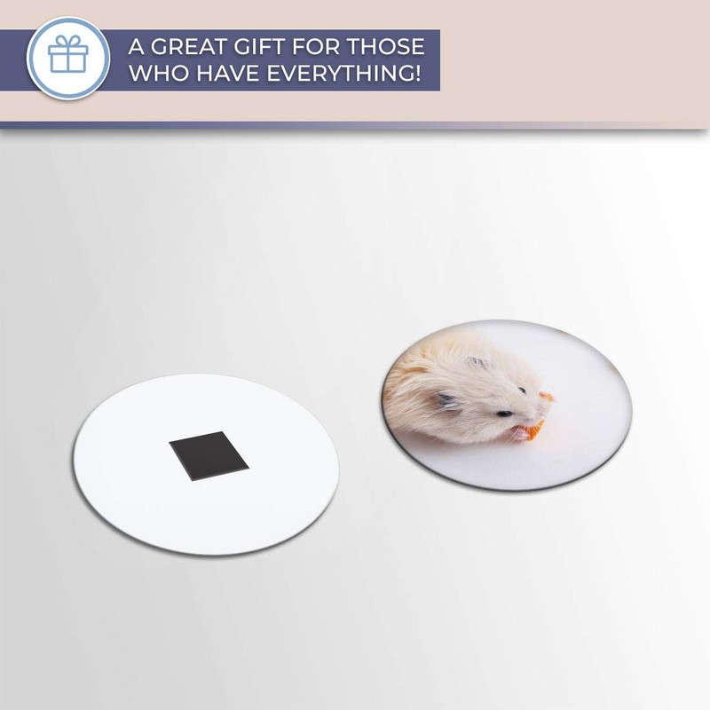 Destination Vinyl ltd Magnet for Refrigerator, Fridge - Cute Hamster